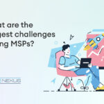 challenges in msp